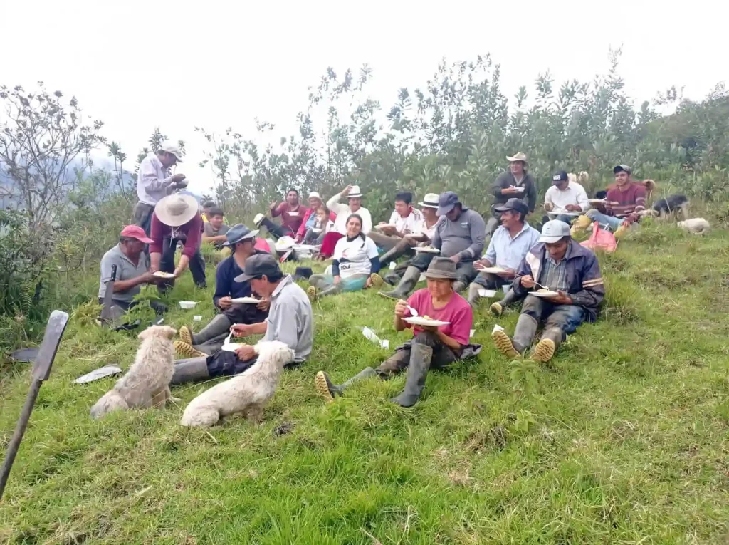 Fundación J.J. Ávila (12)